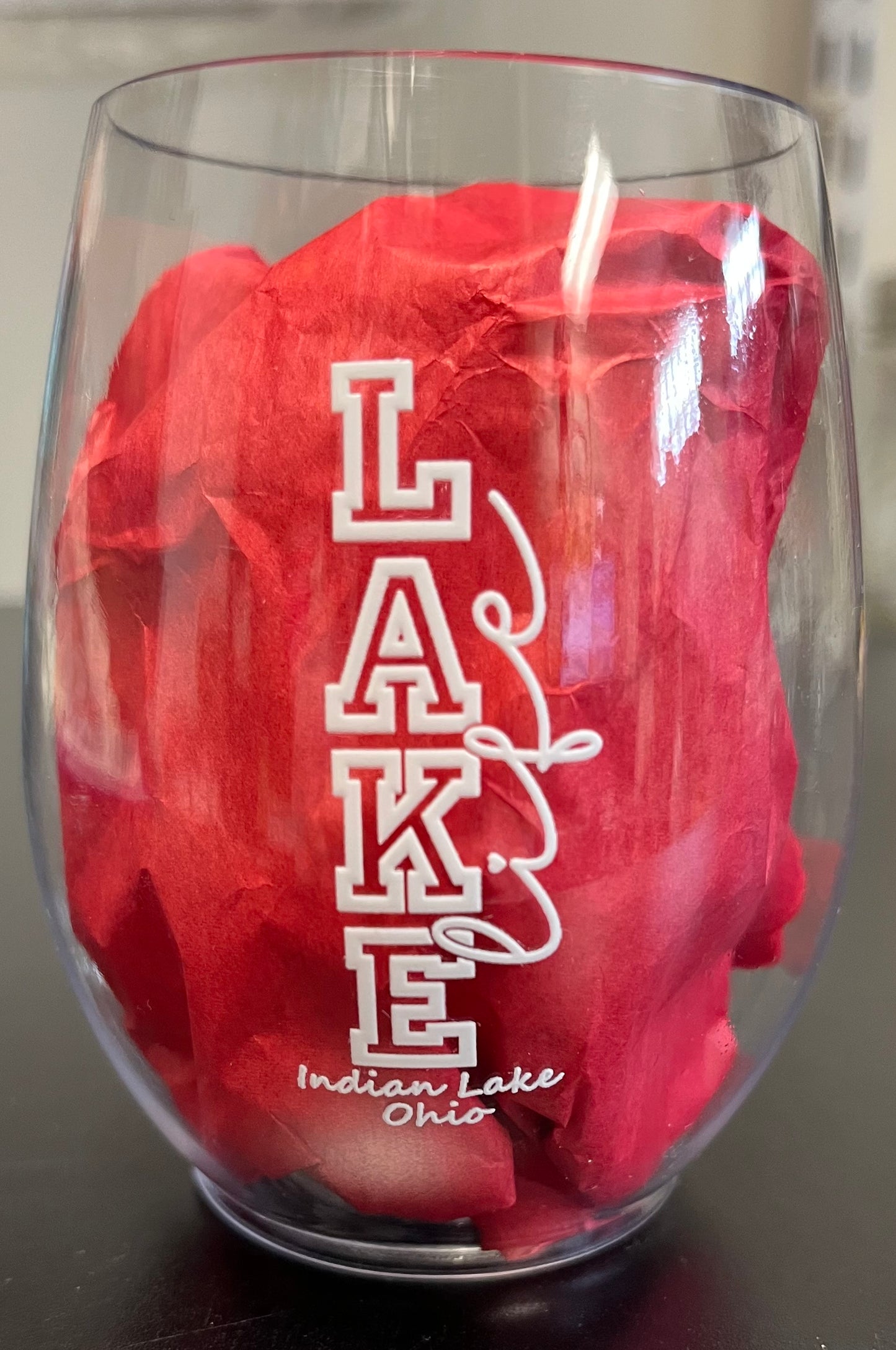 Disposable Indian Lake Wine Tumbler (Plastic)