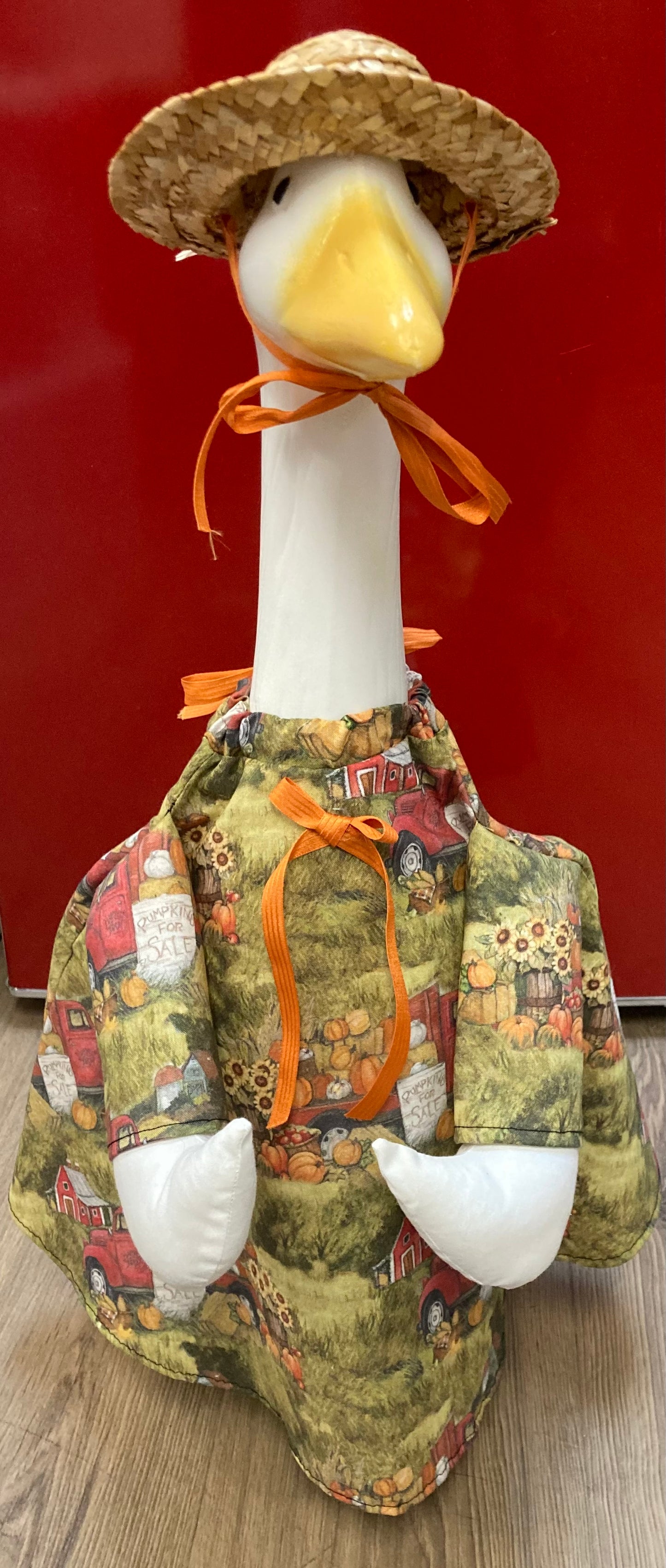 Goose Outfit - Pumpkins for Sale