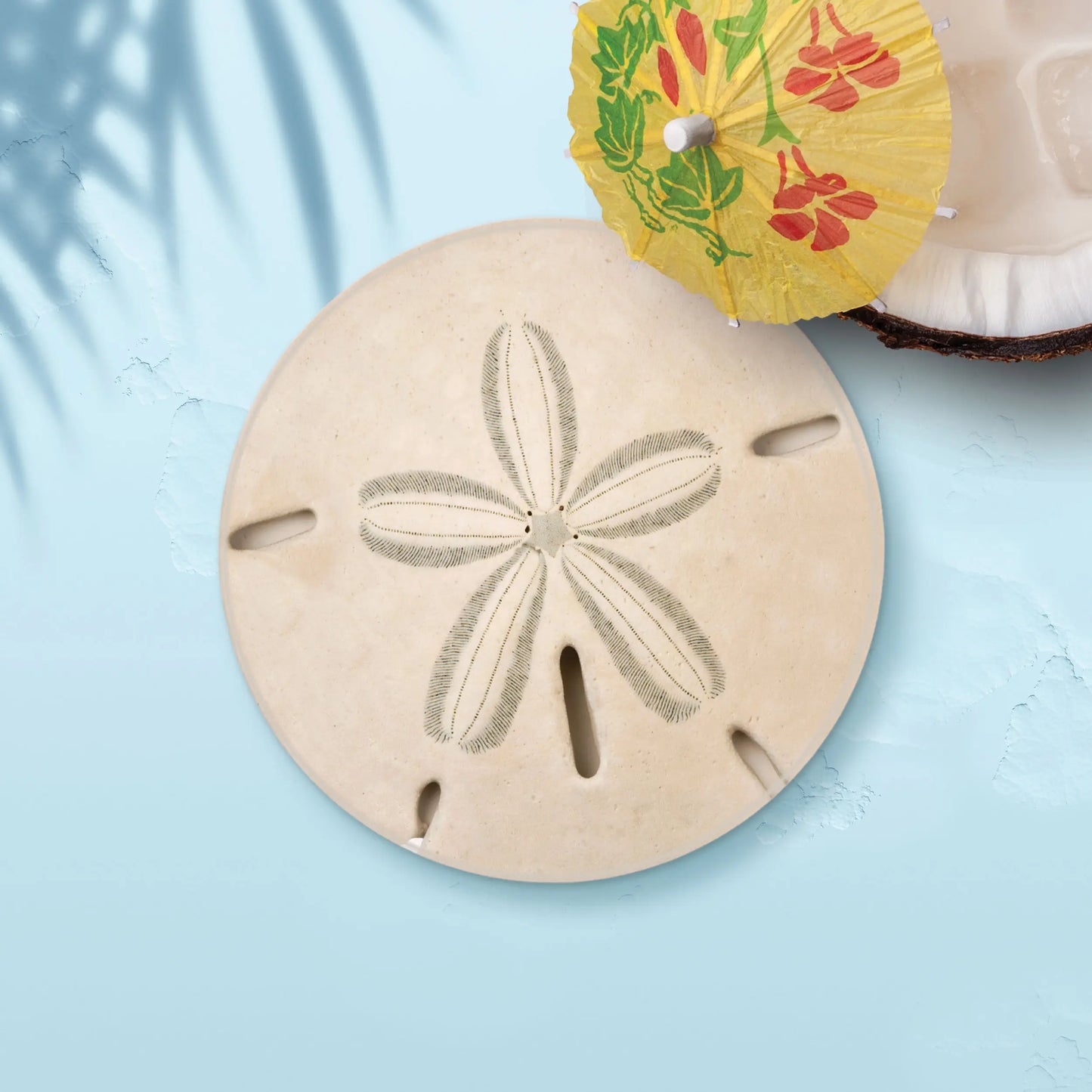 Coaster - Sand Dollar