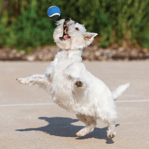 Hero Dog Tennis Ball