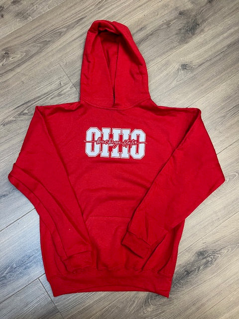 Youth OHIO Buckeye State Hoodie
